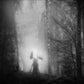 From The Infinite Light - Vinyl LP
