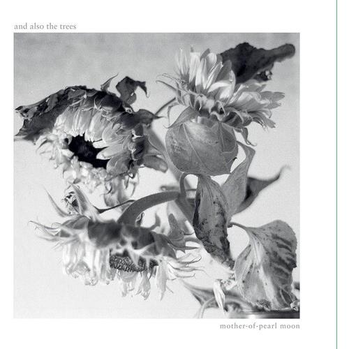Mother-Of-Pearl Moon - Vinyl LP