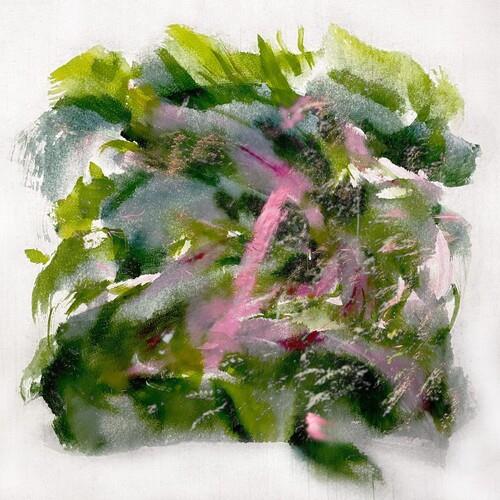 Forest Scenes - Vinyl LP (Pink/Red)