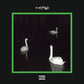 Cloned - Vinyl LP