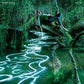 Songdreaming - Vinyl LP 140 Gram (Green)
