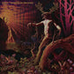 Glimpse Of The Dawn - Vinyl LP