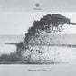 While You Are There - Vinyl LP