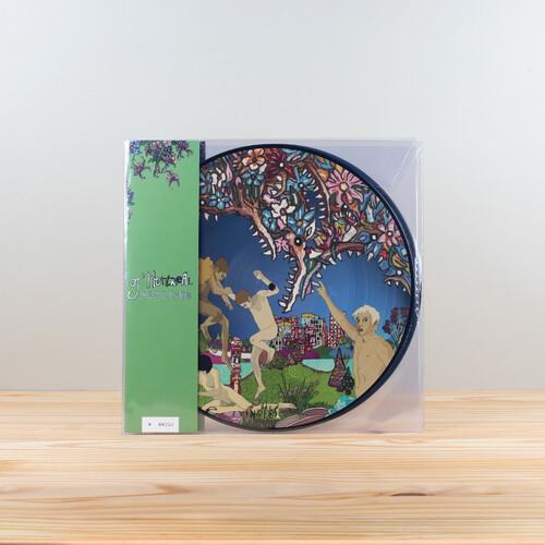 Skeletal Lamping (Picture Disc Edition) - Limited Edition Vinyl LP