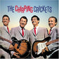 Chirping Crickets - 180gm Vinyl - Vinyl LP 180 Gram