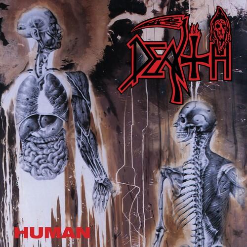 Human - Vinyl LP (White/Blue/Gold)