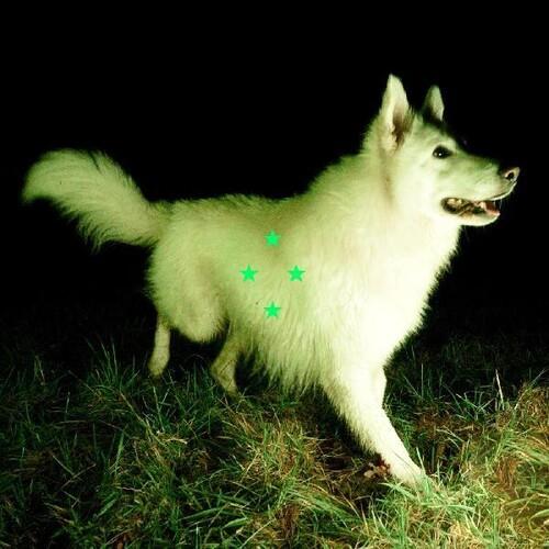 Compare What's There - Vinyl LP (Green)