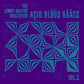 Acid Bluus Raags, Vol.2 - Vinyl LP