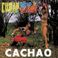 Cuban Music In Jam Session - Vinyl LP