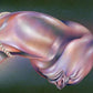 The Warping - Vinyl LP