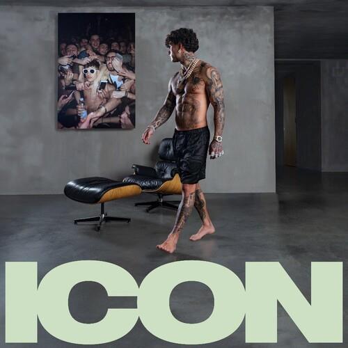 Icon - Vinyl LP