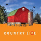 Country Life - Vinyl LP (Green/Orange)