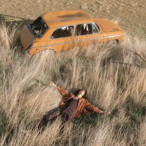 The Plow That Broke The Plains - Vinyl LP