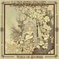 Voice Of Storms - Vinyl LP