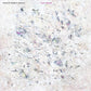 Four Hands - Vinyl LP