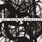 Walk Thru Me - Vinyl LP