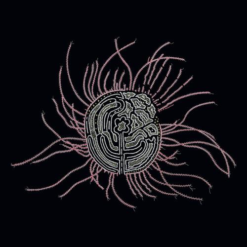 Bearings: Soundtracks for the Bardos' - Vinyl LP