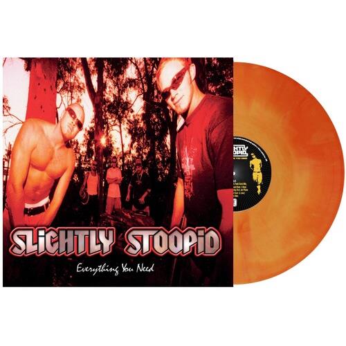 Everything You Need - Vinyl LP