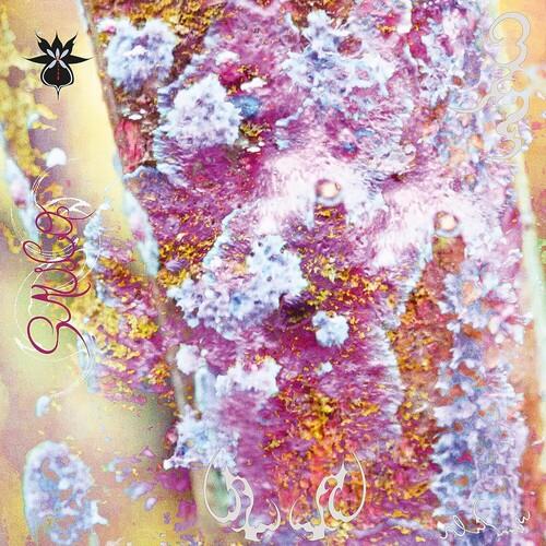 Sauco - Vinyl LP