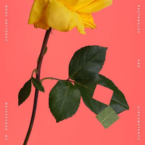 Rectangles And Circumstance - Vinyl LP