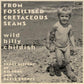 From Fossilised Cretaceous Seams: A Short History Of His Song And Dance Groups - Vinyl LP