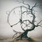 Endo Feight - Limited Edition Vinyl LP