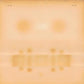 Dr. Dog - Vinyl LP