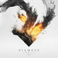Elements - Vinyl LP