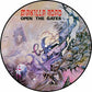 Open The Gates - Vinyl LP