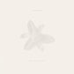 Body of Light / I Am a Cloud - Vinyl LP
