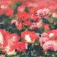 Pedals - Pink - Vinyl LP
