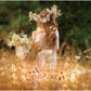 Centaurea - Vinyl LP