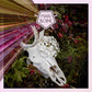 Alva - Vinyl LP