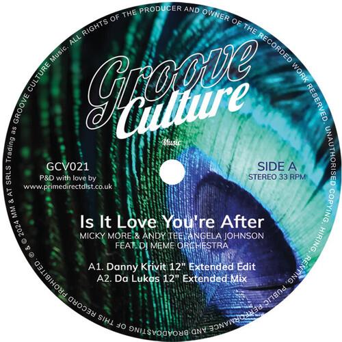 Is It Love You're After - 12-Inch Single