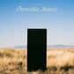 Accessible Beauty - Vinyl LP