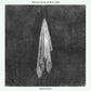 Domestic Scene - Vinyl LP