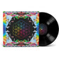 A Head Full Of Dreams - Vinyl LP