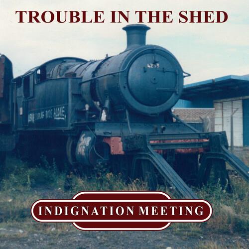 Trouble In The Shed - Vinyl LP