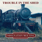 Trouble In The Shed - Vinyl LP