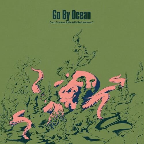 Can I Communicate With The Unknown? - Vinyl LP