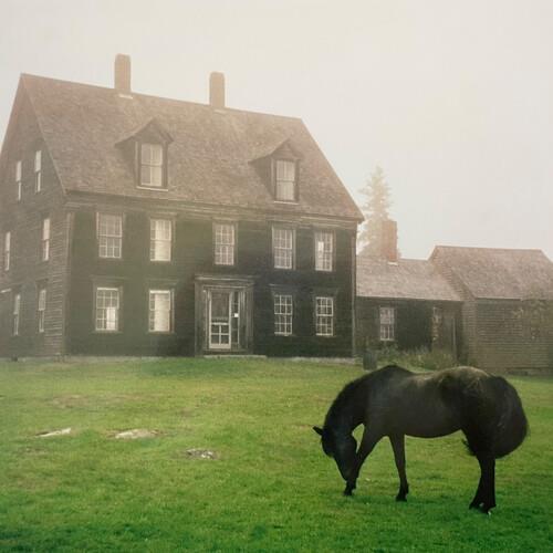 The Academy - Meadow Green - Vinyl LP