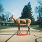 Bastion - Vinyl LP