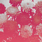 Broken Things - Vinyl LP