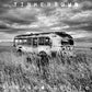 American Gothic - Limited Edition Vinyl LP