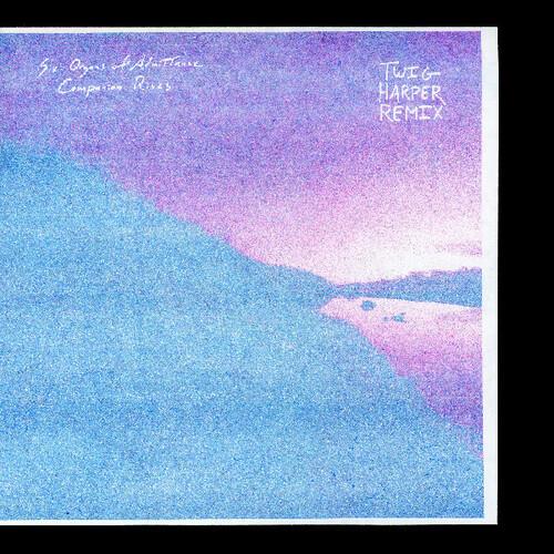 Companion Rises (twig Harper Remix) - Vinyl LP