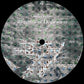 Rhythms Of Dedication - Vinyl LP