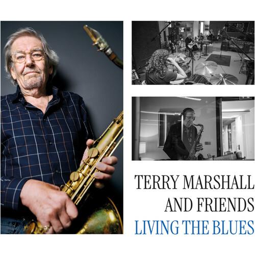 Living the Blues - Vinyl LP
