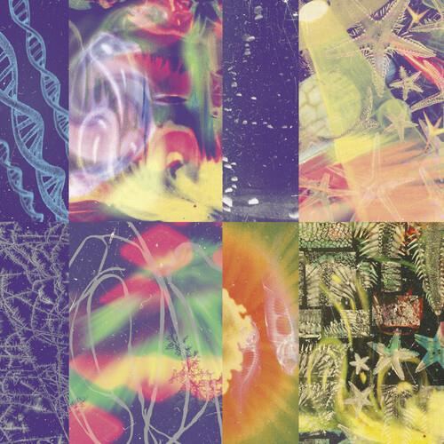 The Neon Gate - Vinyl LP