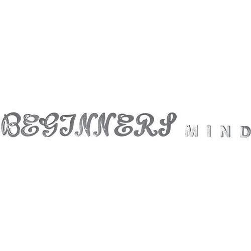 Zimmermann: Beginner's Mind - Vinyl LP