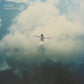 Peace In Chaos - Vinyl LP